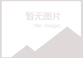 北川县雪柳能源有限公司